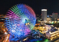 【크리스마스 한정】세레브레이트 디너 코스 2025