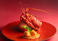 【연말연시 한정】특별 점심 & 디너 코스 2026