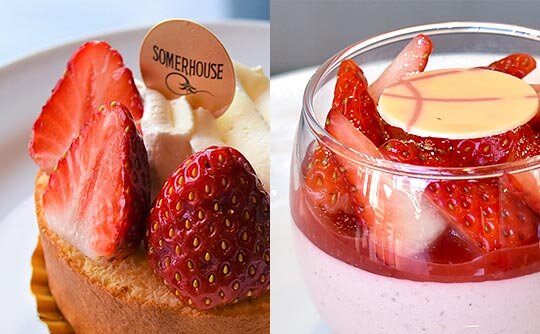 バラエティ豊かなピースケーキイメージ