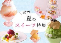 여름 스위트 특집 2026