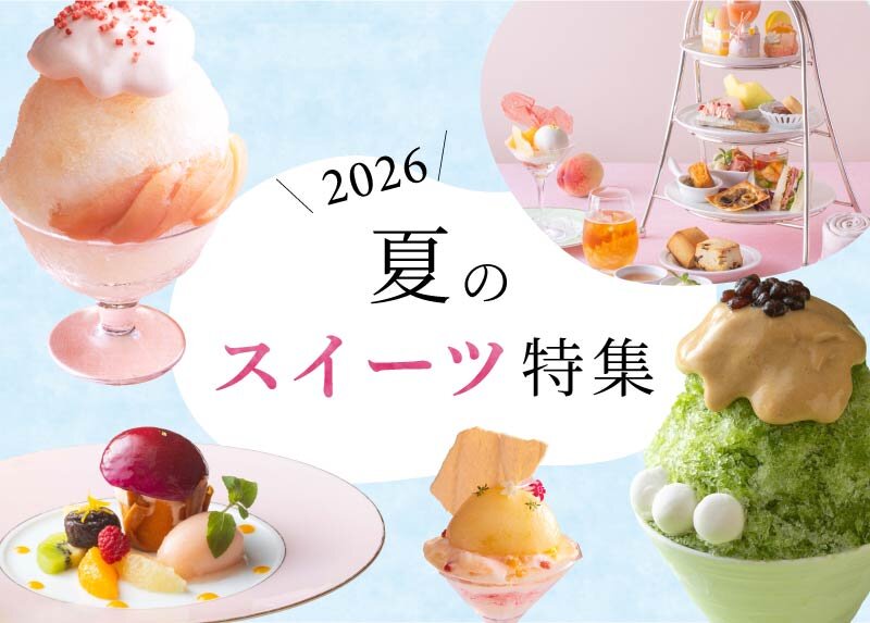 여름 스위트 특집 2026